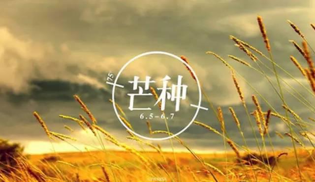 2016年，海参为您打造养生月历表