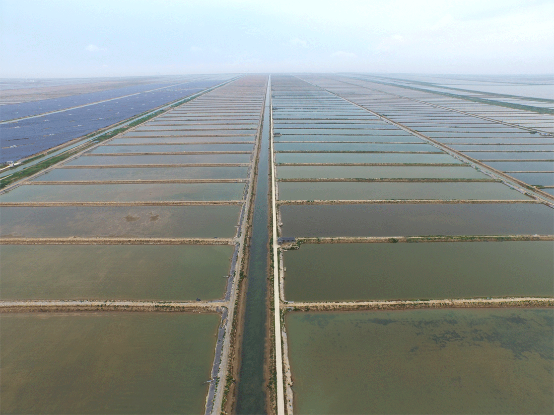 海辰集团